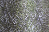 Catshill fibreglass roof work